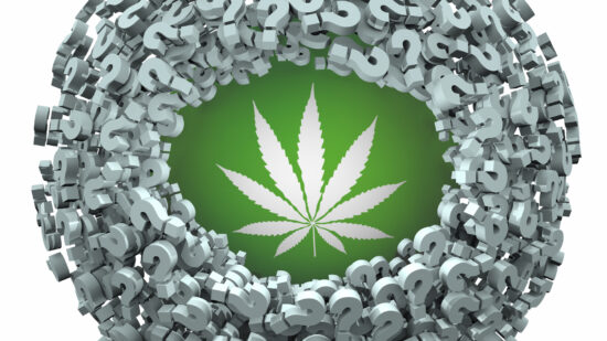 Editors’ Roundtable: The Southern Cannabis Market