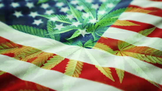 American Cannabis Policy Is the Definition of Insanity