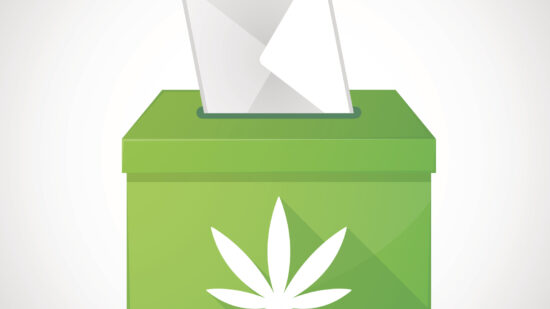 You Say Yes, I Say No: What the Recent State Cannabis Elections Say About the Future of Adult-Use Programs