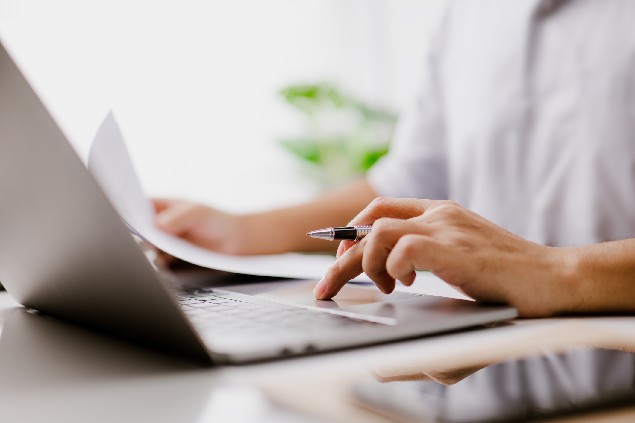 Preparing a Cannabis Application: Five Things I Learned