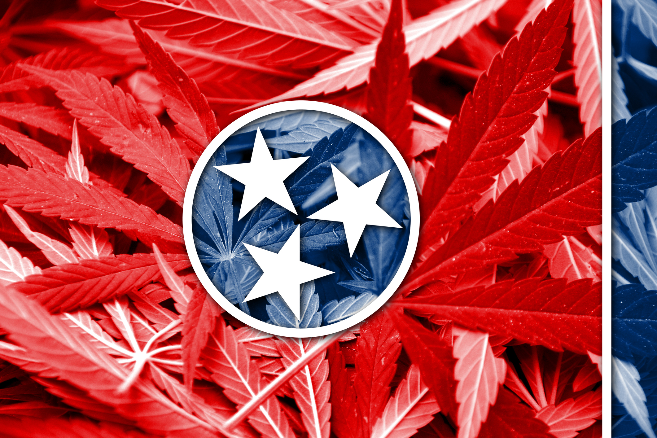 Will the Tennessee Legislature Continue to Leave Cannabis to Outlaw Country Music in 2023?