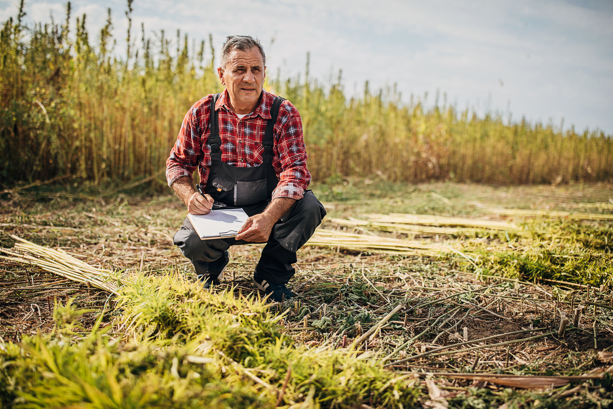 Editors’ Roundtable: Predictions About the Upcoming Farm Bill