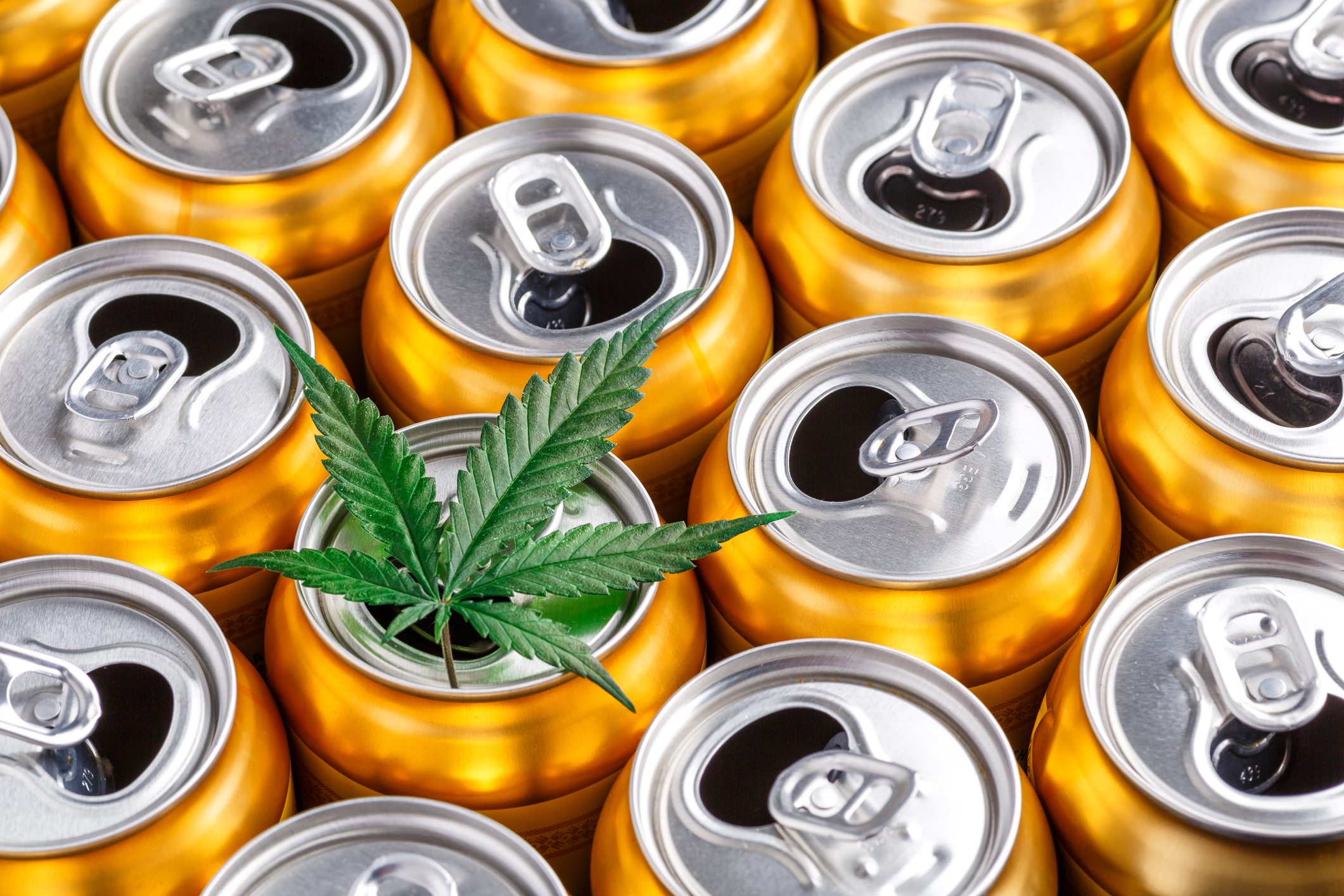 Mississippi Attorney General Deems Hemp Beverages Impermissible in Controversial Opinion, Highlighting Ongoing Tension Between the Marijuana and Hemp Industries