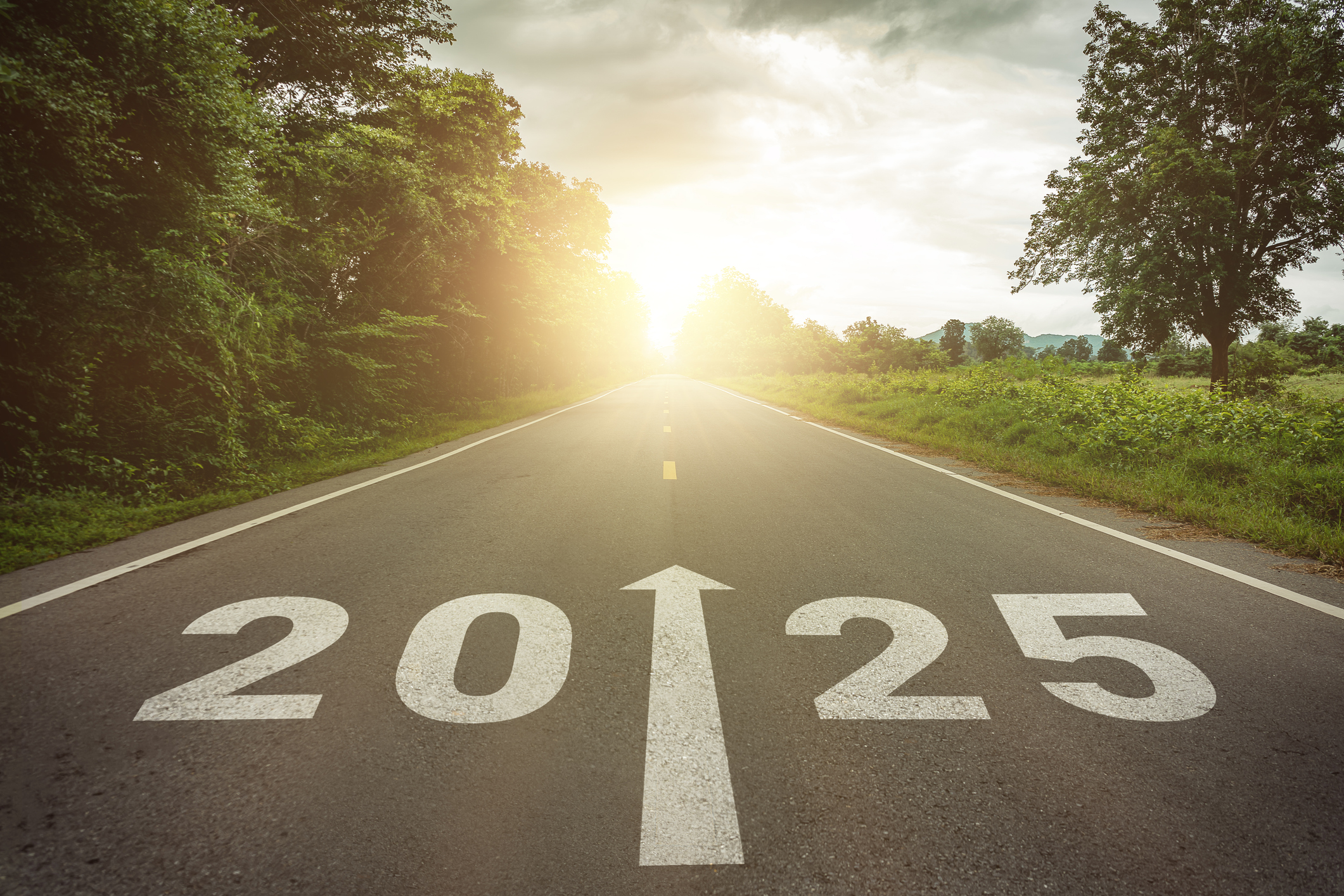 Predictions: 2025 to Be a Very Big Year in Cannabis