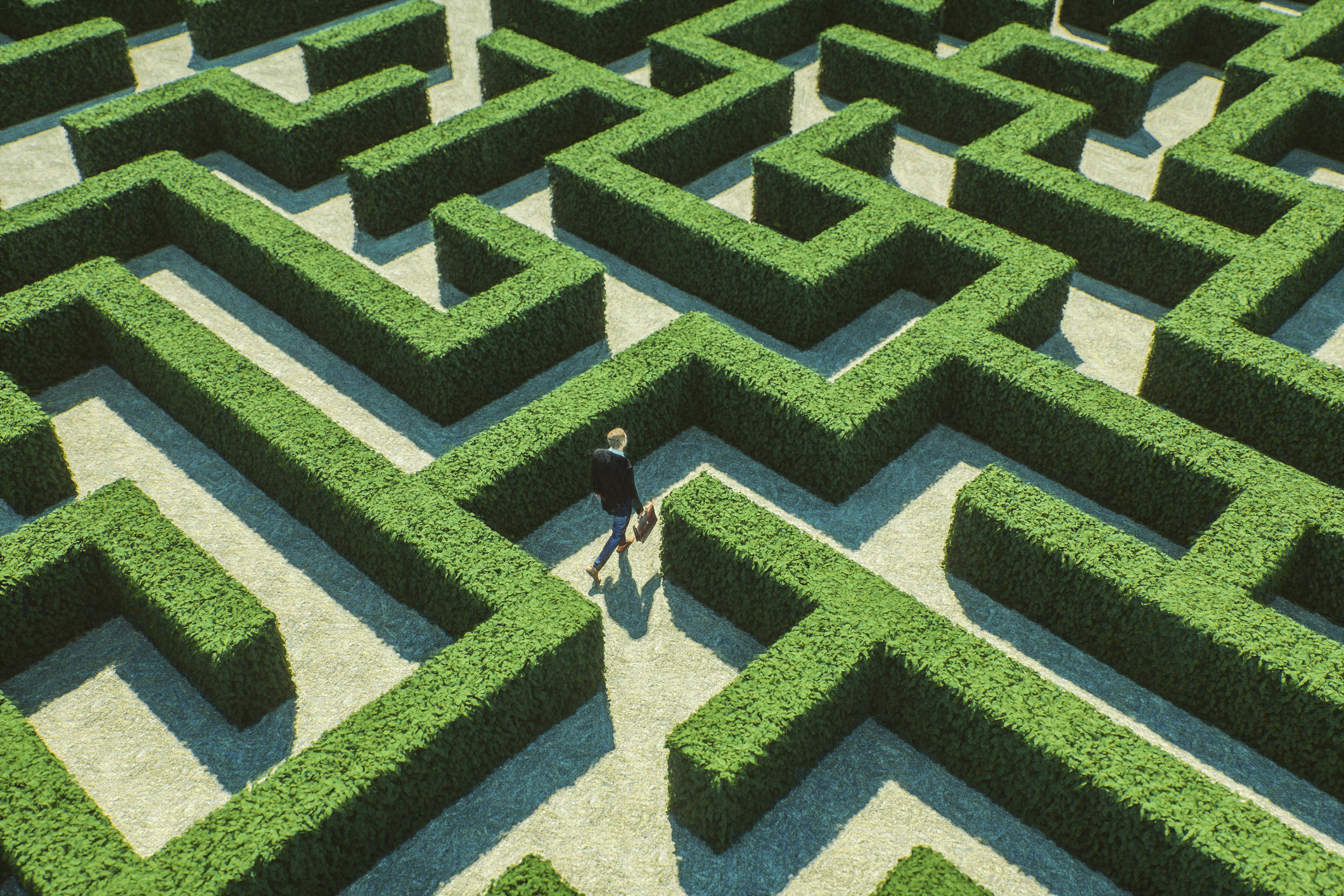Never Get Out of This Maze? Or a Path Forward for Alabama’s Medical Cannabis Program?