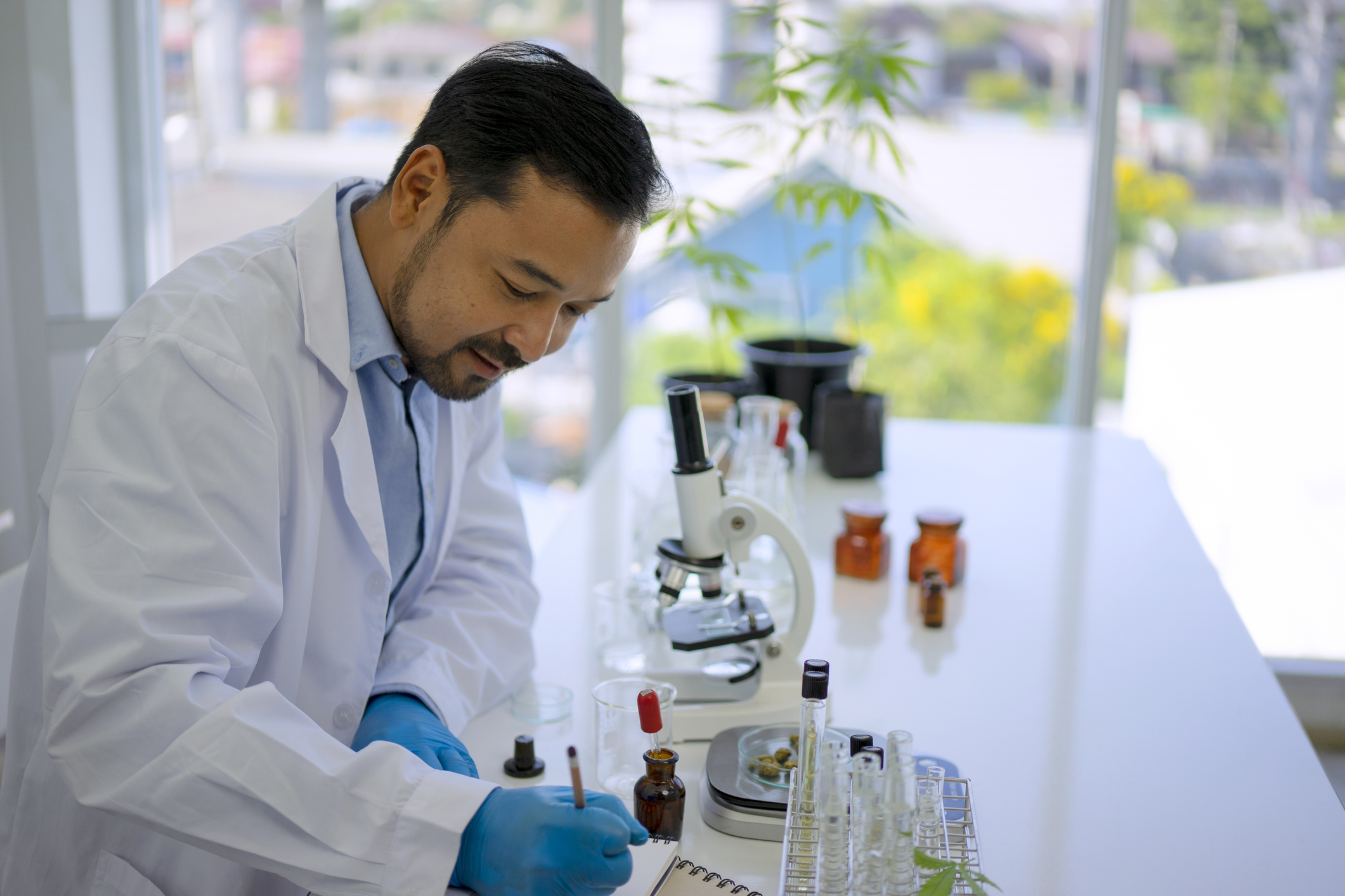 Alabama Plans to Issue Medical Cannabis Testing License This Summer