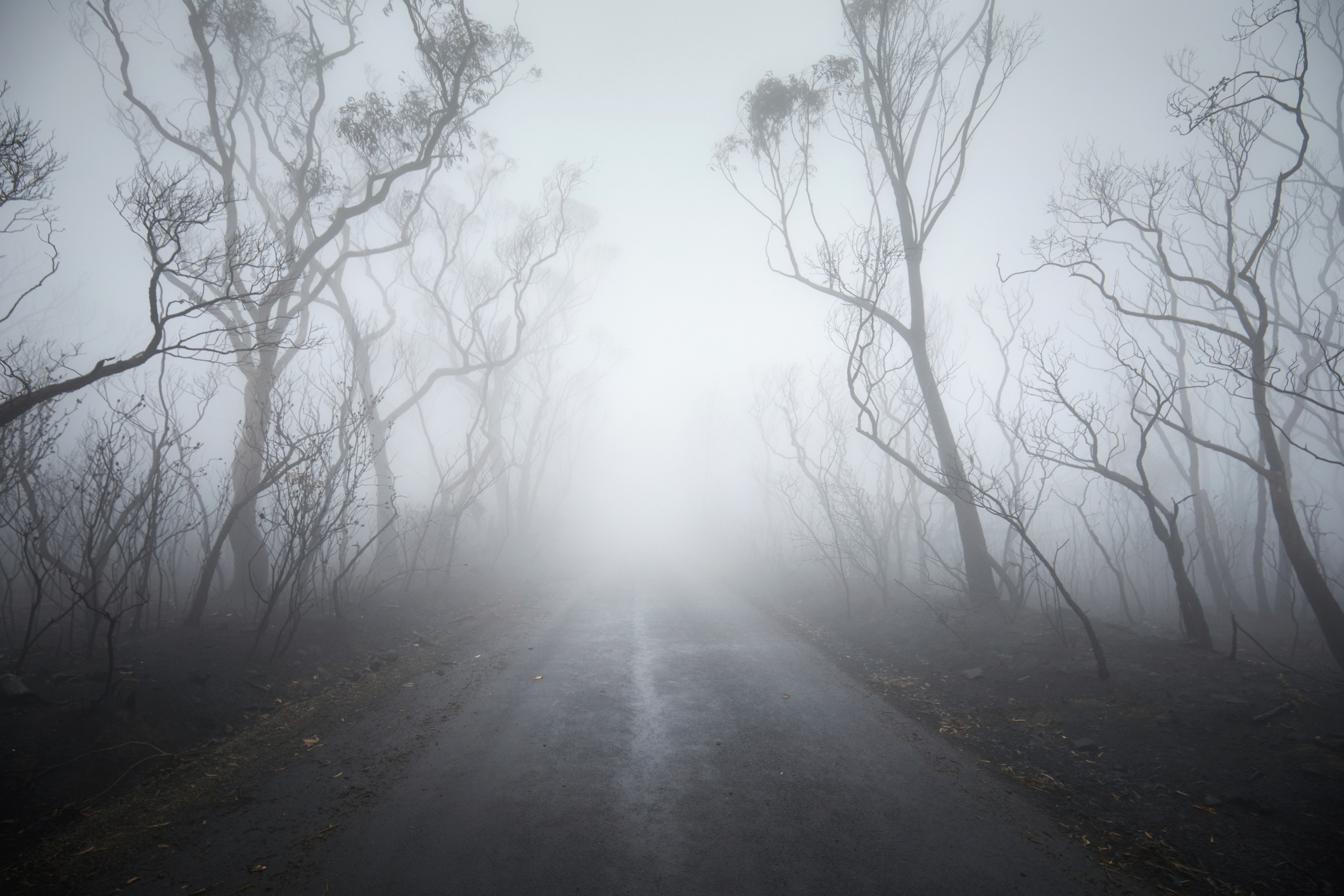 The Story of the Ghost: How a “Loophole” Created a Behemoth of Intoxicating Cannabis Products and What (If Anything) Congress Intends to Do About It