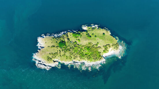 No Man Is an Island: The Great Cannabis Debate