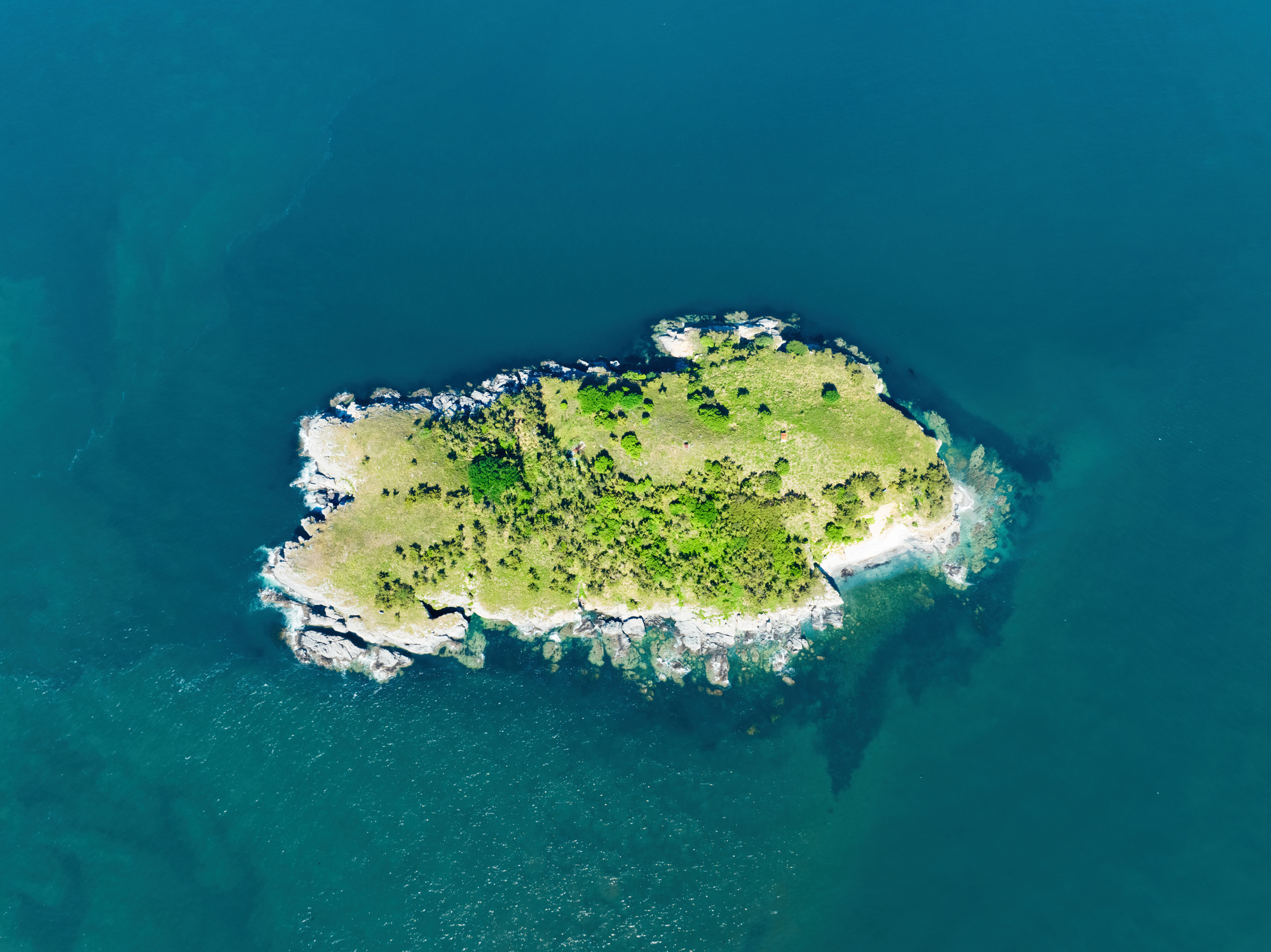 No Man Is an Island: The Great Cannabis Debate