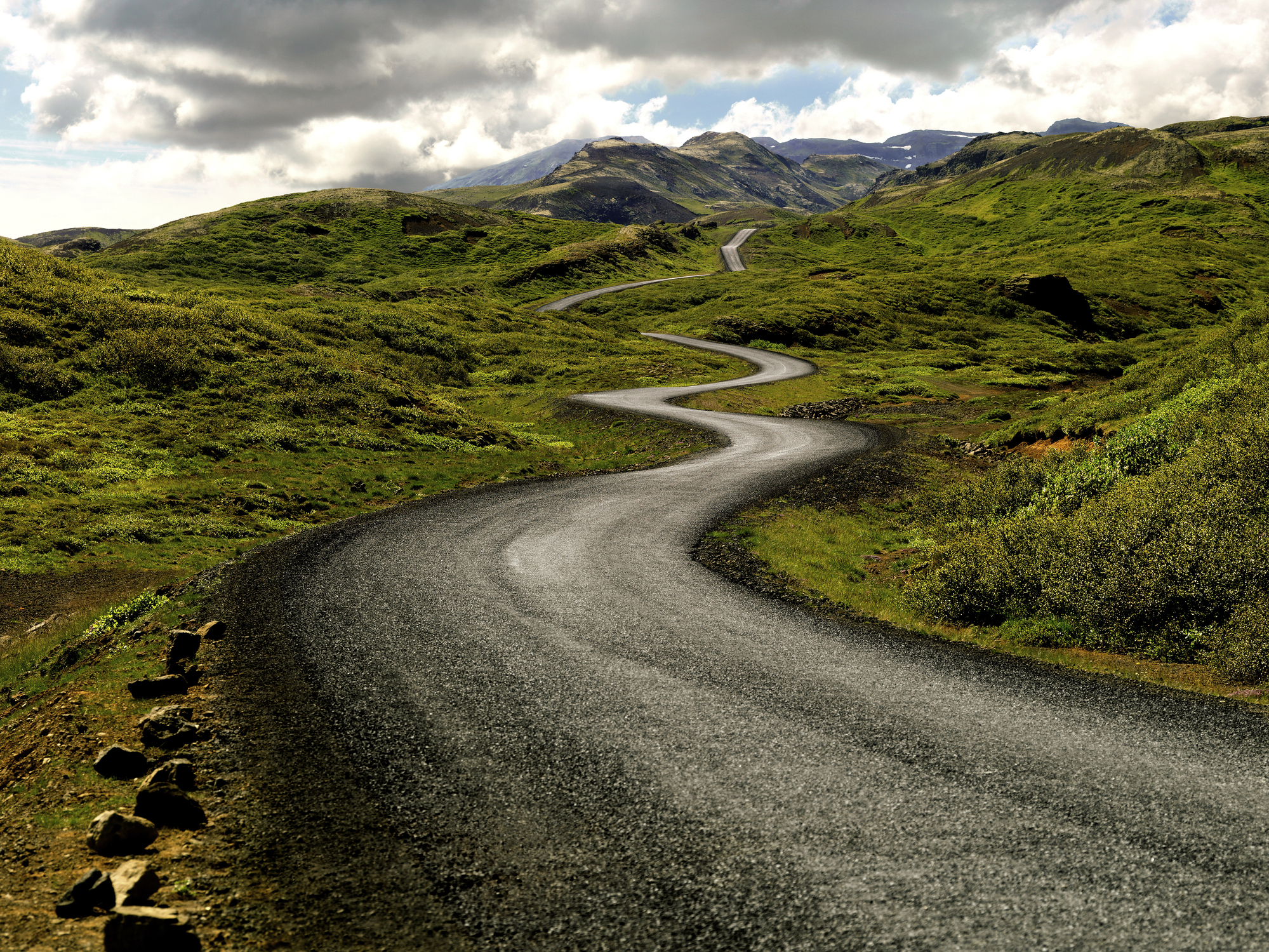 The Long and Winding Road: Where Does the Hemp Industry Go from Here?